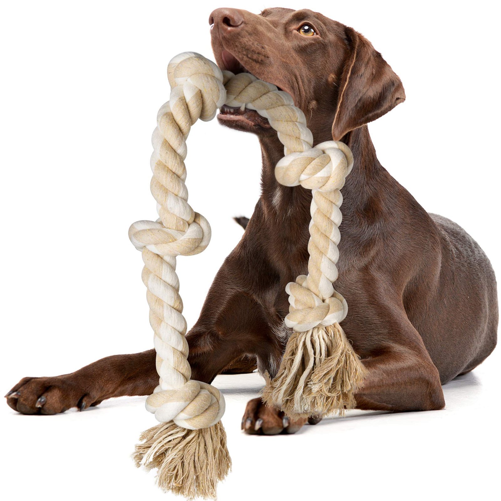 Cotton Rope Dog Tug Toy – Durable Dental Cleaning Chew Toy for Dogs - Image 4